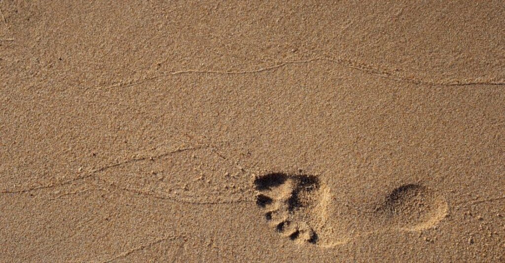 Footprint - Footprint on Sand