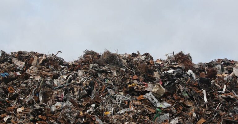 Waste - Dumpsite under Clear Sky