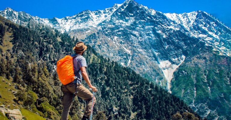 Trip - Man Wearing Blue Shirt Standing on Cliff While Watching Mountain