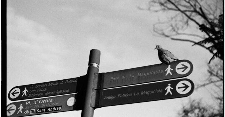 Routes - A black and white photo of a street sign