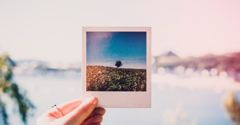 Photograph - Person Holding Photo of Single Tree at Daytime