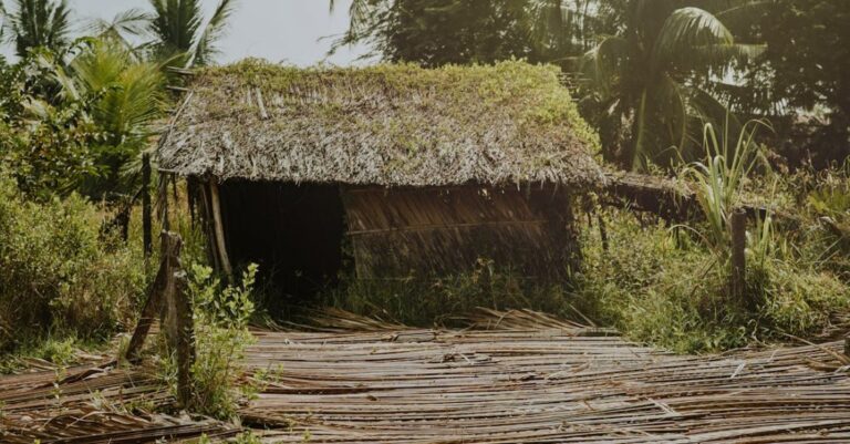 Shelter - Brown Nipa Hut Photo