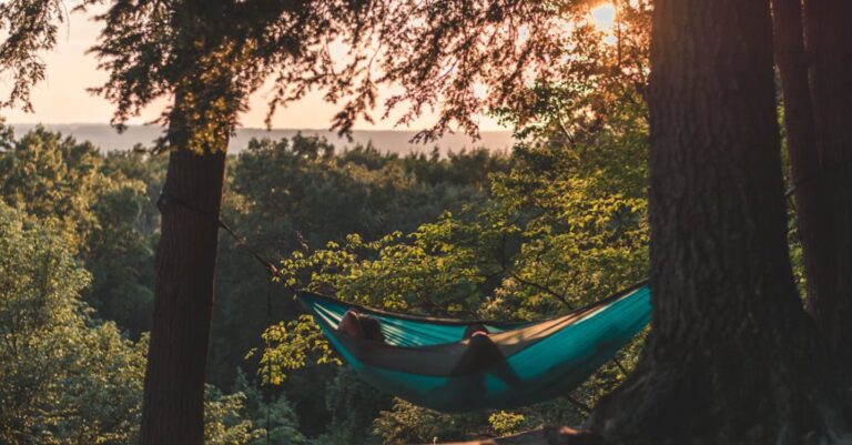 Hammock - Person Lying on Hammock Between Trees at Daytime