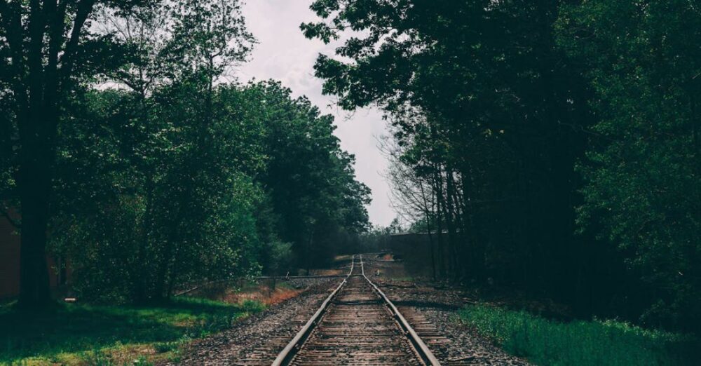 Trails - Train Track Surrounded by Trees