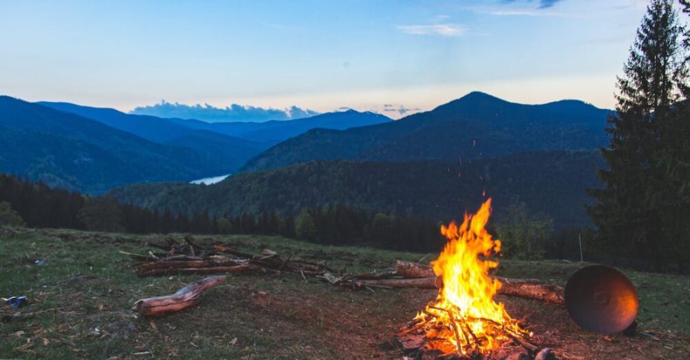 Campfire - Bonfire Surrounded With Green Grass Field